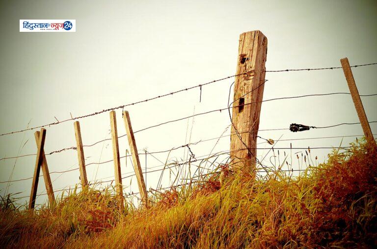 Take Advantage Of The Falling Stock Market