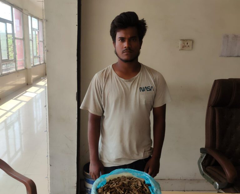 गांजा तस्करी करते गांजा तस्कर महेश पाटले गिरफ्तार