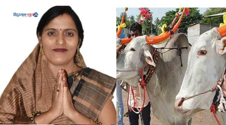 डोमेश्वरी वर्मा ने प्रदेशवासियों को पोला तिहार की दी शुभकामनाएं