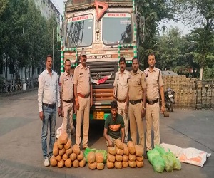 रायपुर पुलिस की बड़ी कार्रवाई, 20 लाख का गांजा किया जब्त