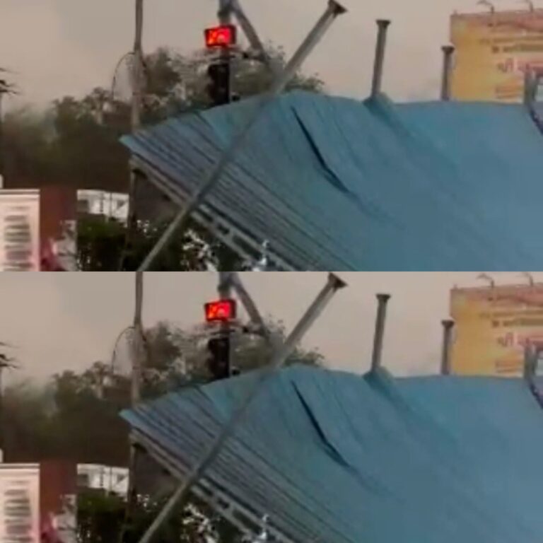 कांग्रेस के भ्रष्टाचार के भेट चढ़ा शेड – पुरन्दर मिश्रा