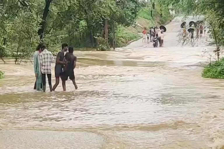 छत्तीसगढ़ में बारिश का कहर: कोरबा में स्टॉप डेम बहा, सूरजपुर में पुलों पर चढ़ा पानी