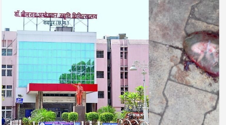 मेकाहारा गेट पर मिला नवजात शिशु का शव, पॉलीथिन में फेंके जाने से मचा हड़कंप