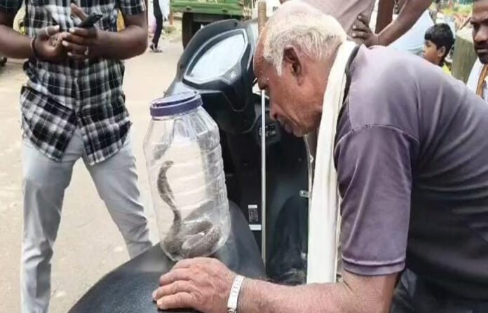 छत्तीसगढ़ में अजब मामला: कोबरा ने युवक को डसा तो डॉक्टर बोले- पहले सांप लेकर आओ, फिर शुरू हुआ इलाज
