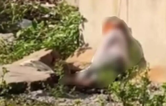 रायपुर में होर्डिंग पोल से लटका मिला शव : सिर पर चोट के निशान, आत्महत्या या हत्या की गुत्थी सुलझाने में जुटी पुलिस