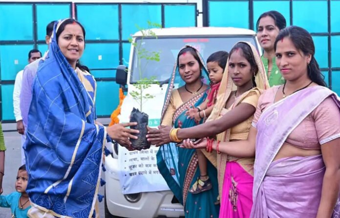 हर घर मुनगा अभियान को पीएम ने सराहा : मंत्री लक्ष्मी बोलीं- राष्ट्रीय मंच पर उल्लेख होना गर्व की बात