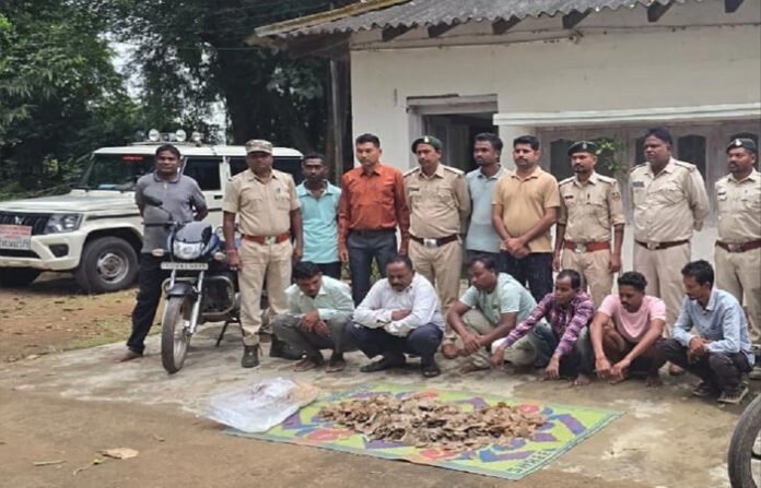 वन विभाग की बड़ी कार्रवाई, 14 किलो पैंगोलिन शल्क के साथ 6 आरोपी गिरफ्तार वन विभाग की बड़ी कार्रवाई, 14 किलो पैंगोलिन शल्क के साथ 6 आरोपी गिरफ्तार