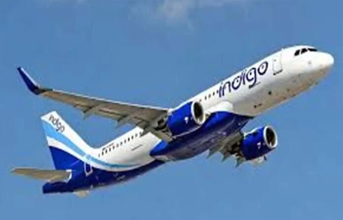 indigo
